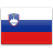 Slovenia  application form for Ireland residents.