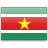 Suriname  application form for Ireland residents.