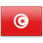 Tunisia  application form for Ireland residents.