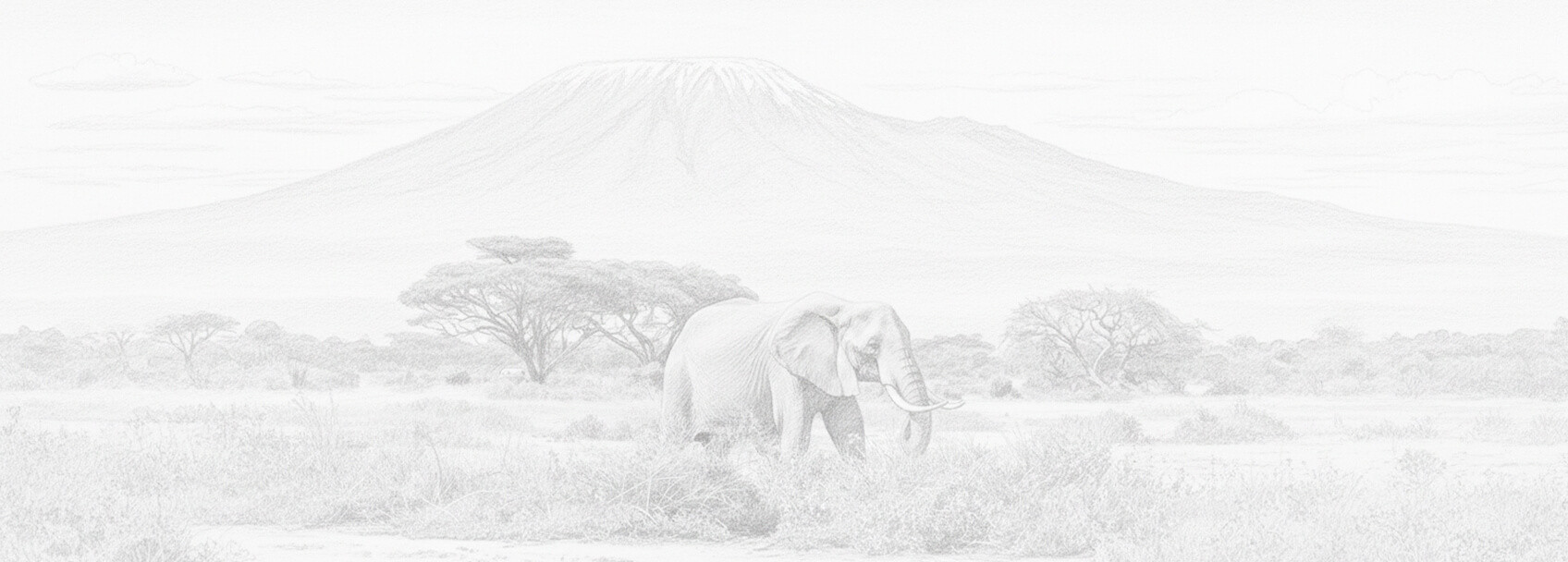 Cameroon visa application and requirements